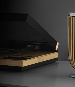 Beautyshot_Beolab_8_Natural_Oak