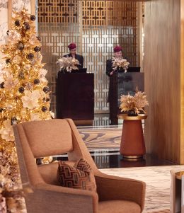 Féerie-Nocturne-(FFA-2025)