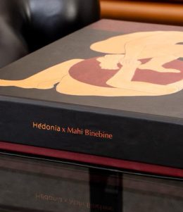 Lifestyle-coffret-Hedonia-x-Mahi-Bine-Bine