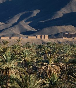 Ouarzazate-Region--Vallee-du-Draa-Agdz-Ksar-Tamnougalt--8717