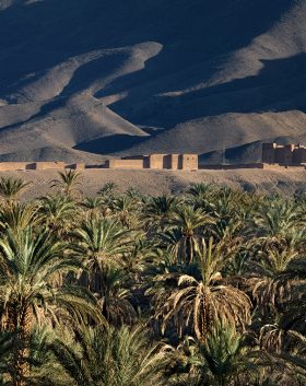 Ouarzazate-Region--Vallee-du-Draa-Agdz-Ksar-Tamnougalt--8717