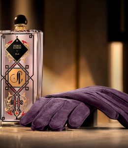 SL-ROYAUME-DES-LUMIERES--INSTITUTIONAL-VISUAL_ZURAFA