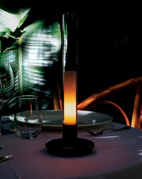 Sylvestrina-Jara-Varela-Roig-Robi