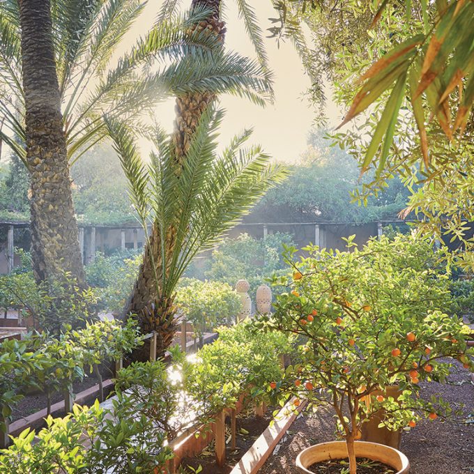 Villa_oasis_verger,-photo,-Ngoc-Minh-Ngo_12